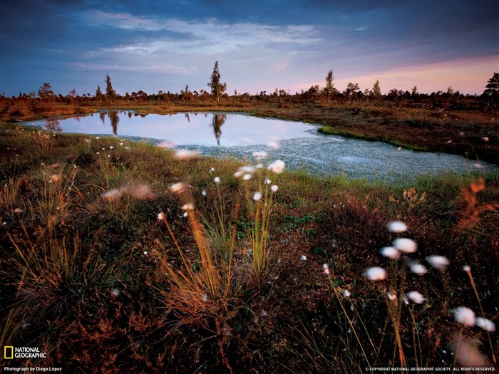 Parque Nacional de Kemeri Fotografía de la revista Letonia-National Geographic Vistas:9811