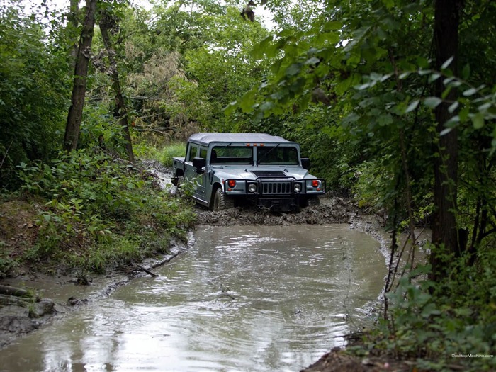 Veículos rodoviários off-road - o papel de parede da série Hummer H1 08 Visualizações:18736