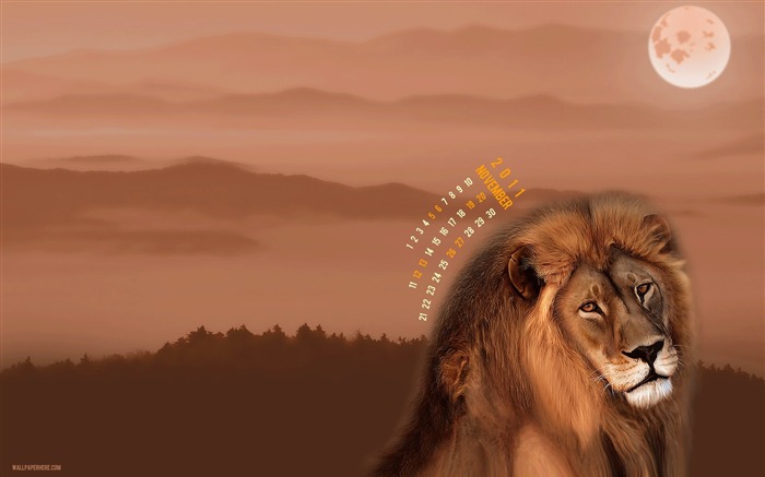 Lonely Lion-November 2011 - Calendar Desktop Wallpapers Views:7909 Date:2011/10/29 23:16:19