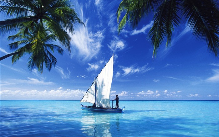 Sailing Indian Ocean-Landscape Desktop Wallpaper Views:20798 Date:2011/10/19 13:18:43