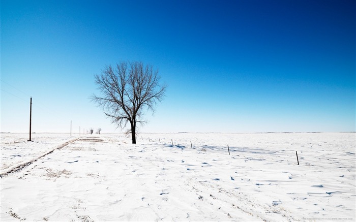 Snow Road Tree-Beautiful paisagem natural wallpaper Visualizações:10517