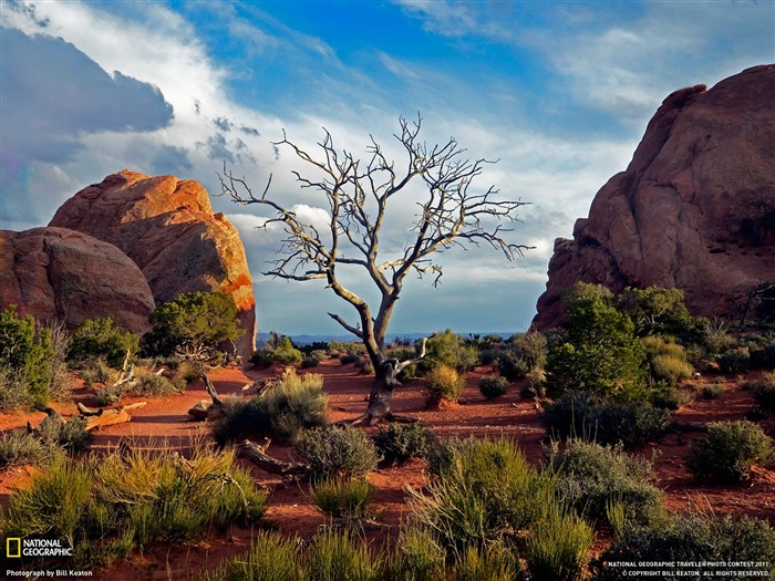 Fotografía de la revista Three National Arches National Park-National Geographic Vistas:10503