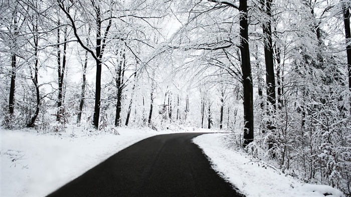 Winter Road-Landscape Desktop Wallpaper Views:12445 Date:2011/10/19 13:20:08