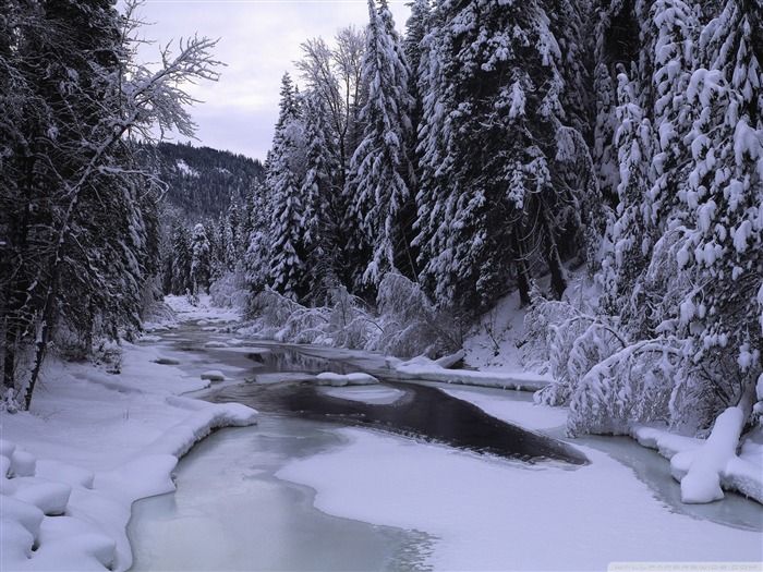 Paisaje de invierno de escritorio de bosque de invierno Vistas:29616