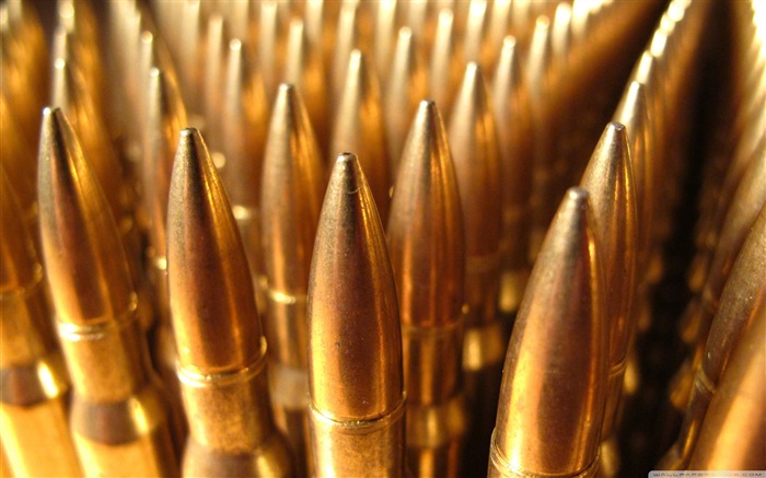 ammo-Military Desktop Wallpaper Views:19957 Date:2011/10/20 1:51:03