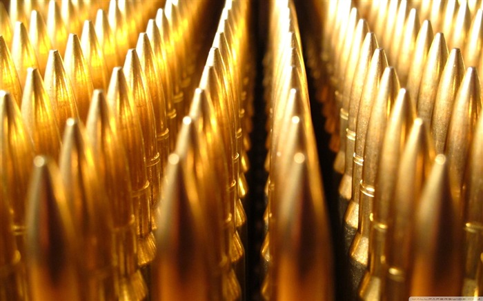 ammunition-Military Desktop Wallpaper Views:16600 Date:2011/10/20 1:52:06