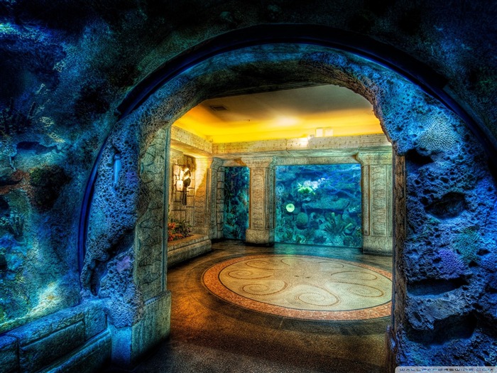 水族館HDR-建物飾る風景壁紙 ブラウズ:19752