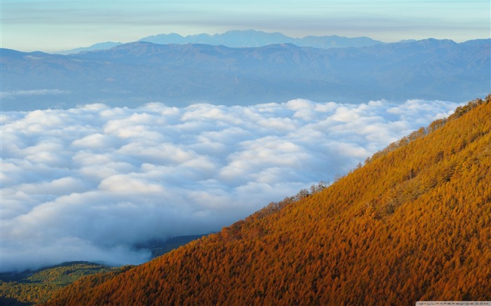 Otoño montaña bosque-Otoño Paisaje Fondos de escritorio Vistas:11945