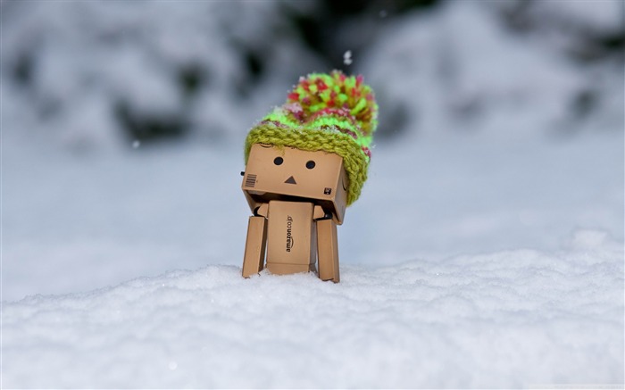 danbo discovering snow-desktop wallpaper winter scenery Views:34655 Date:2011/10/23 1:57:42