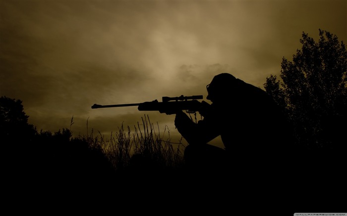 sniper-Military Desktop Wallpaper Views:48897 Date:2011/10/20 2:04:40