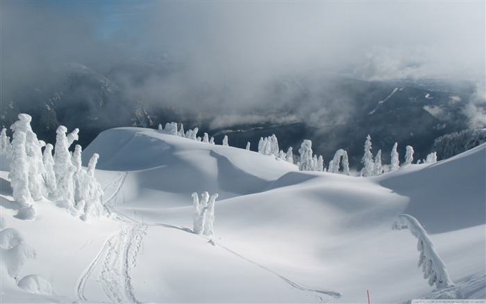 nieve derivas-fondo de pantalla de escritorio paisaje de invierno Vistas:21037