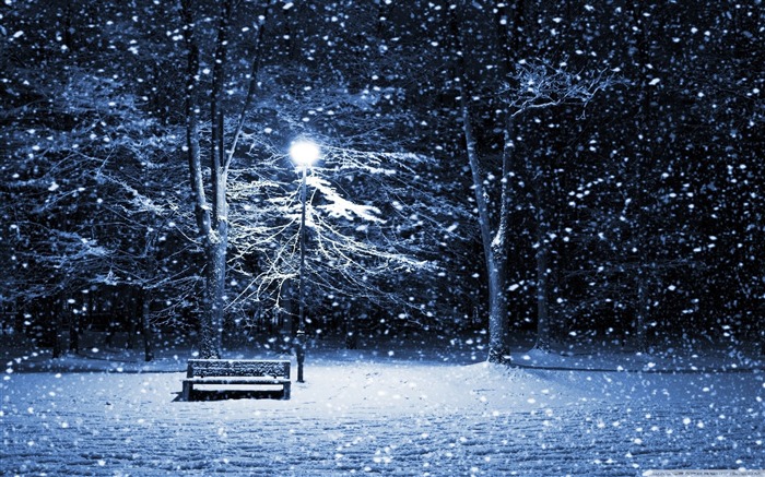 snowing-desktop wallpaper winter scenery Views:162043 Date:2011/10/23 2:08:26