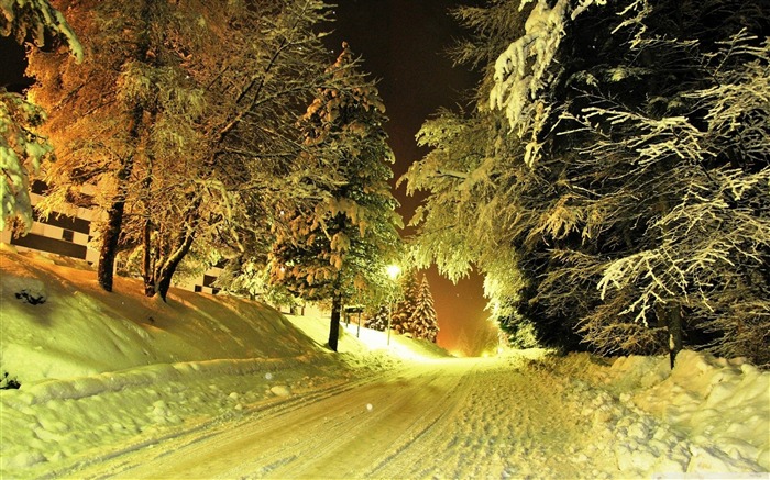 snowy road night-desktop wallpaper winter scenery Views:28293 Date:2011/10/23 2:12:48