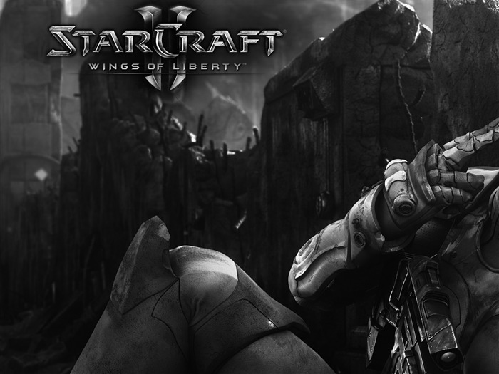 Starcraft 2-StarCraft game Desktop Wallpaper Visualizações:13838