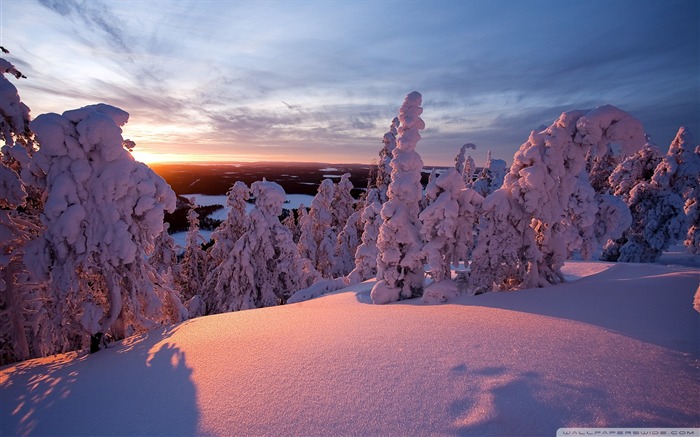 invierno laponia finlandia papel tapiz de escritorio paisaje de invierno Vistas:76420