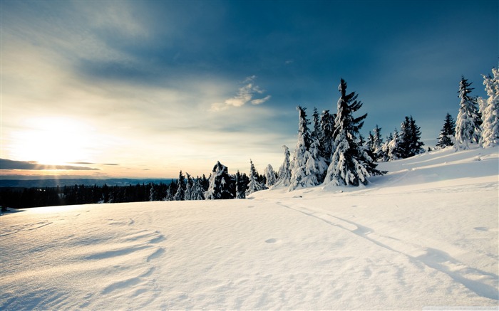 paisaje de invierno de papel tapiz de escritorio de sol de invierno Vistas:20491