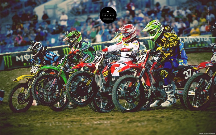 2011 Supercross Jacksonville station-250 grupo Vistas:7741