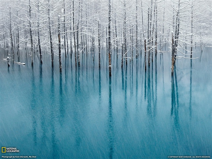 Blue Pond Hokkaido-National Geographic magazine Views:12129 Date:2011/11/25 22:59:24