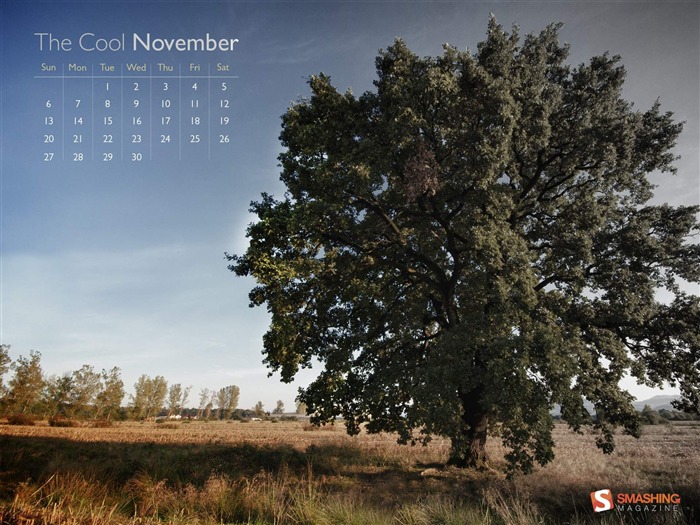 fraîche-Novembre 2011-Desktop Calendar Wallpaper Vues:8857