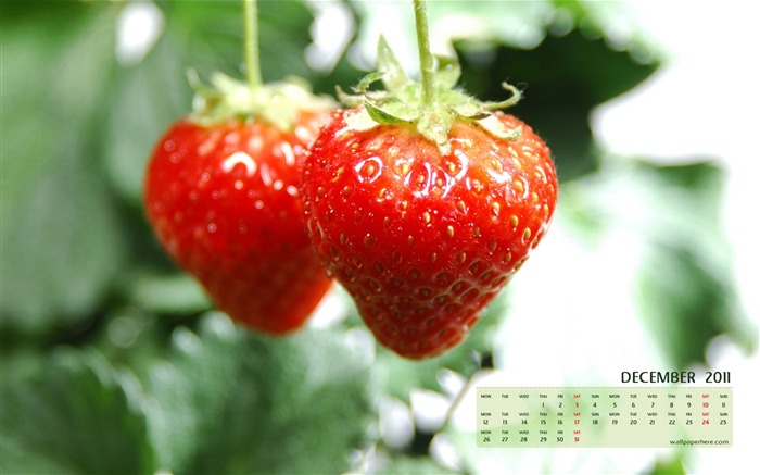 fraises fraîches-Décembre 2011-Desktop Calendar Fonds d'écran Vues:9465