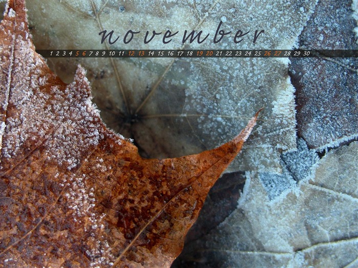 L'hiver arrive-Novembre 2011-Desktop Calendar Wallpaper Vues:9826