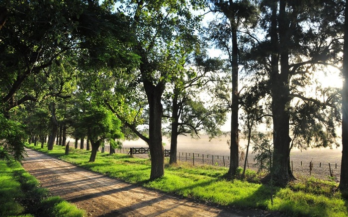 country dirt road-Nature Desktop Wallpaper Views:12238 Date:2011/11/17 22:39:42