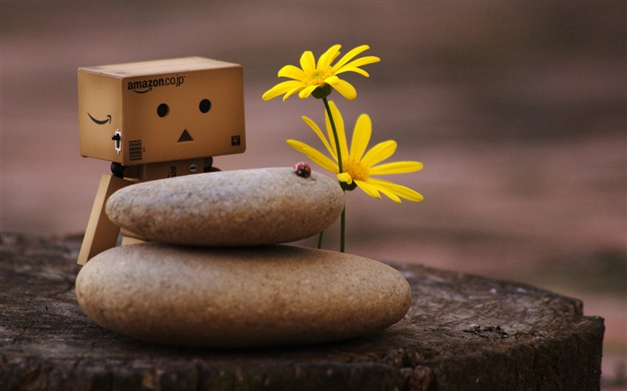 Danbo e zen pebbles-Carton com as pessoas do filme Danbo Wallpaper Visualizações:75293