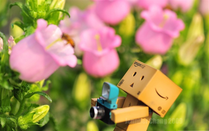 Danbo flores fotografia-Carton com as pessoas do filme Danbo Wallpaper Visualizações:30402