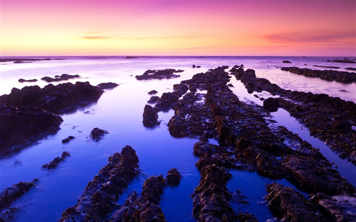 fitzgerald low tide-Landscape Desktop Picture Views:10454 Date:2011/11/25 23:51:08