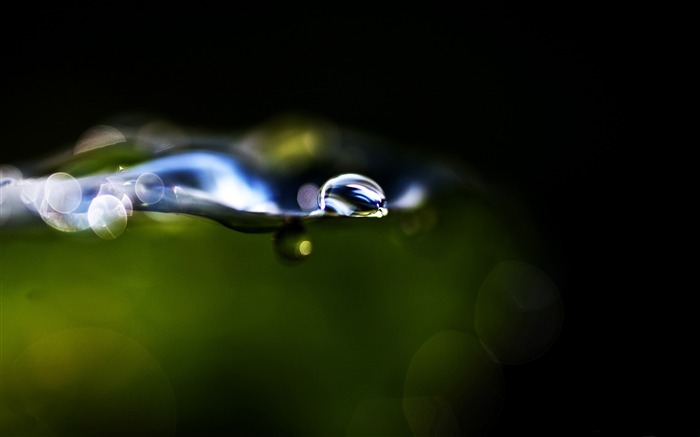 liquidity-Macro Photography Photo Series wallpaper Views:10038 Date:2011/11/9 23:08:13