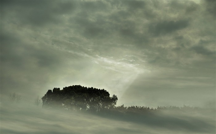 misty-Beautiful natural scenery Desktop Wallpapers Views:23351 Date:2011/11/3 13:19:25