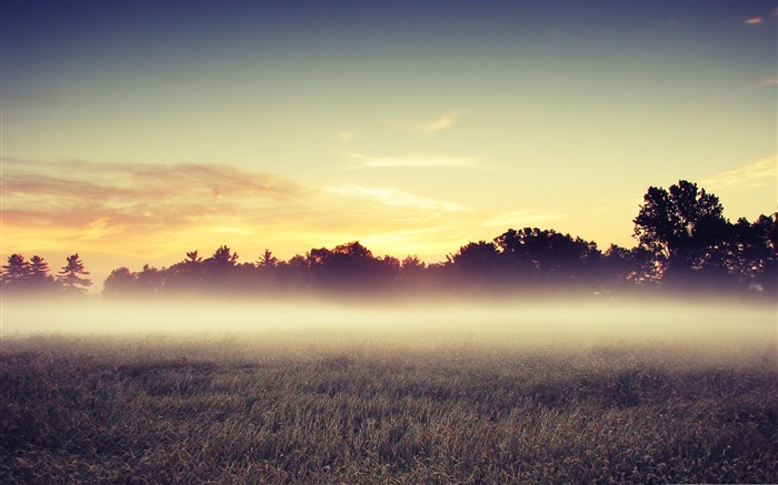 mañana niebla-Hermoso paisaje natural fondo de pantalla Vistas:17280