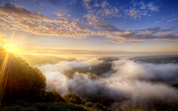 niebla de la mañana sobre el bosque-Hermoso paisaje natural fondo de pantalla Vistas:12775