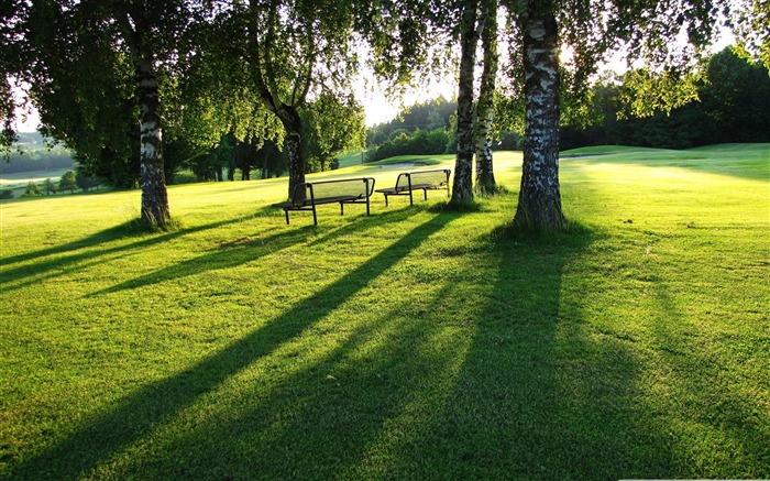 two benches-Nature Desktop Wallpaper Views:10112 Date:2011/11/17 23:14:52