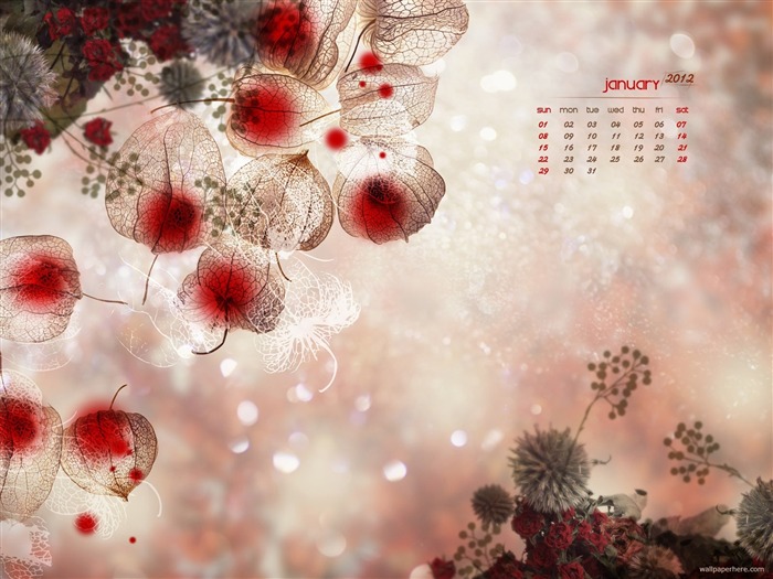 Beautiful-January 2012 calendar desktop themes wallpaper Views:14149 Date:2011/12/30 23:42:19