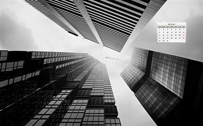 Black and White-January 2012 calendar desktop themes wallpaper Views:11760 Date:2011/12/30 23:43:15