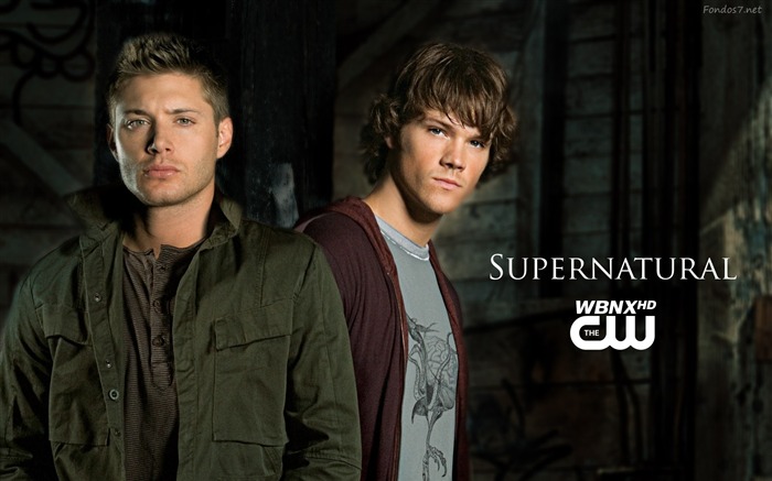 American TV-Supernatural-HD Desktop Picture Visualizações:35506