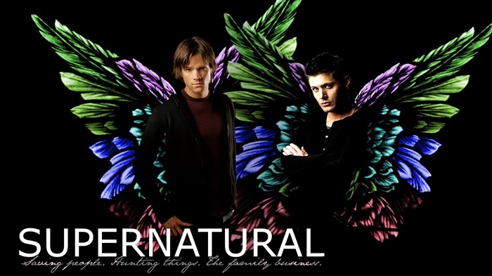 Dean et Sam-Supernatural-HD Image de bureau Vues:12631