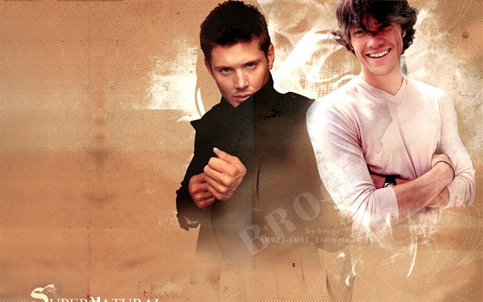 Dean Winchester et Sam Winchester-Supernatural-HD Image de bureau Vues:22413