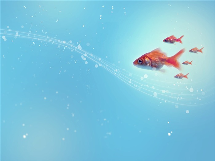 Goldfish-Desktop Creative Design Fonds d'écran Vues:15826