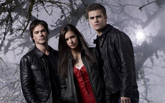 The Vampire Diaries wallpapers HD Vues:12105