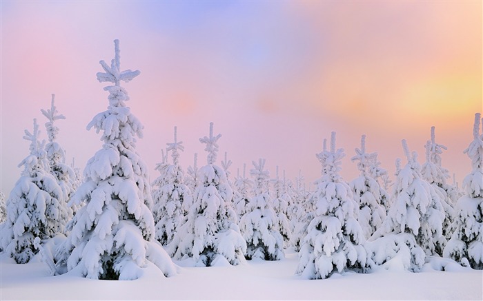 A neve branca - a paisagem de inverno frio Desktop Visualizações:16126