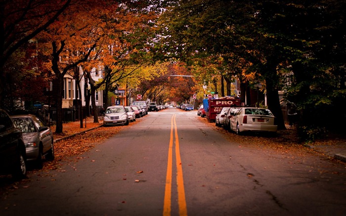 américains la ville l'automne-Wallpaper photographie de paysage urbain Vues:30428