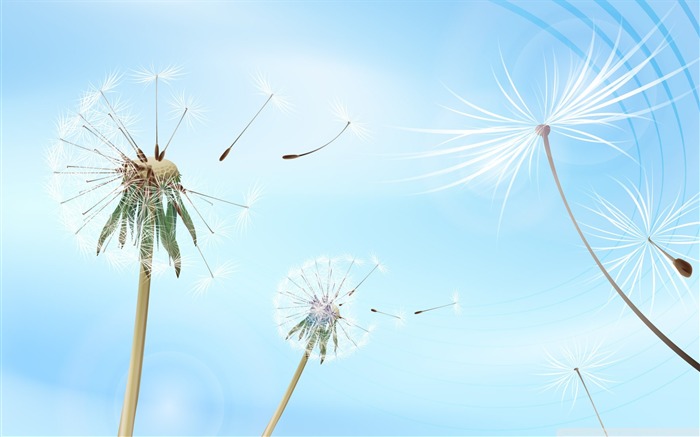 soprando dandelions - Design Related Desktop Visualizações:23047