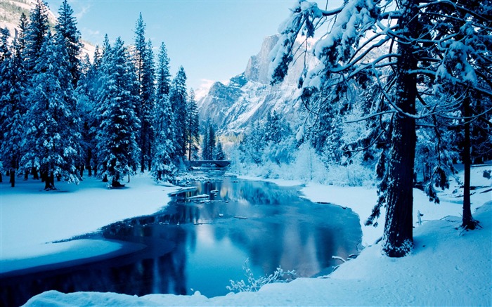 blue winter-the cold winter landscape Desktop Views:79809 Date:2011/12/9 23:17:00