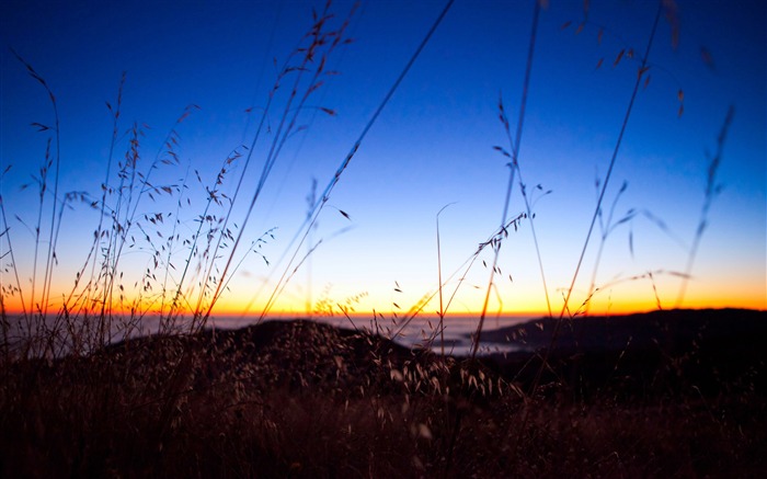 bokeh puesta de sol-Hermoso paisaje natural fondo de escritorio Vistas:13056