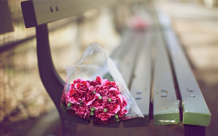 carnations bouquet on a bench-love theme desktop picture Views:13628 Date:2011/12/26 22:59:01