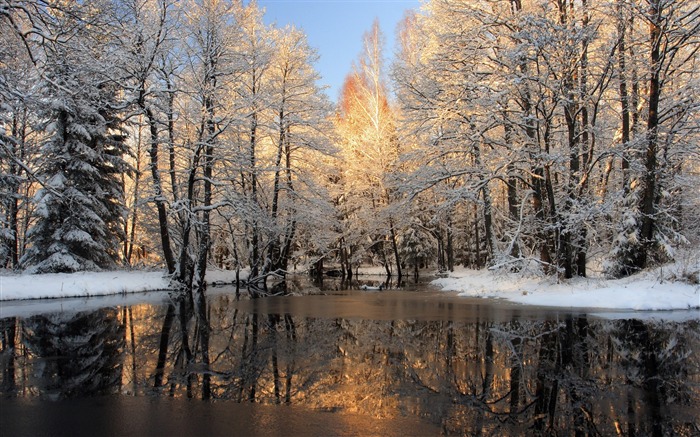 forest lake winter-the cold winter landscape Desktop Views:27808 Date:2011/12/9 23:18:44