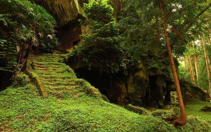 escalera de bosque ruinas-Hermoso paisaje natural fondo de pantalla Vistas:48635