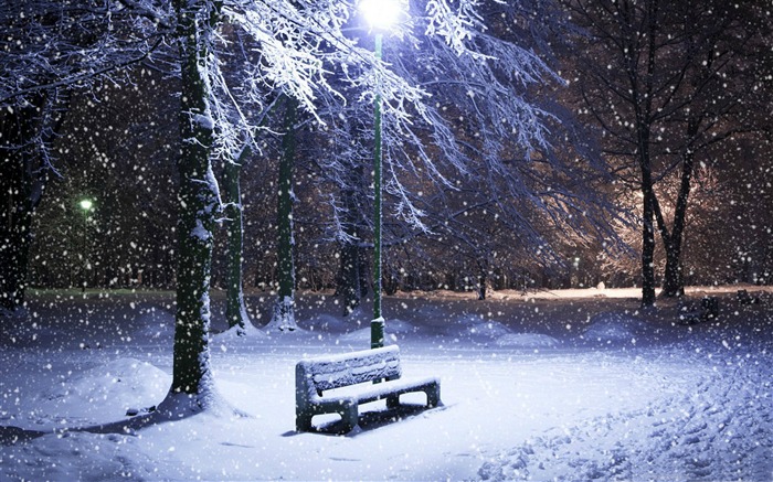 Banco solitario cubierto de papel tapiz de escritorio de tema de invierno de nieve Vistas:16208